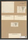 Actinocyclus alienus var. arcticus Grun. (de-Toni-Nr.: Genus 195, Species 4750) Zeichnungen Sammlung Grunow Nr. 8389 (NHMW-BOT-W0377820)